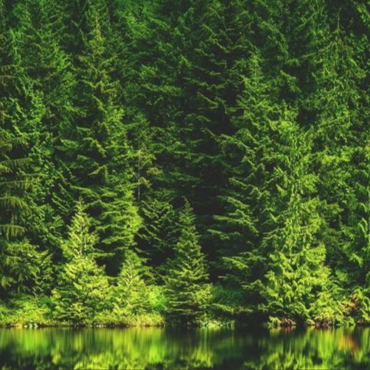 Отзывы. KUSTOV PRODUCTION — профессиональная фотосъёмка в Москве