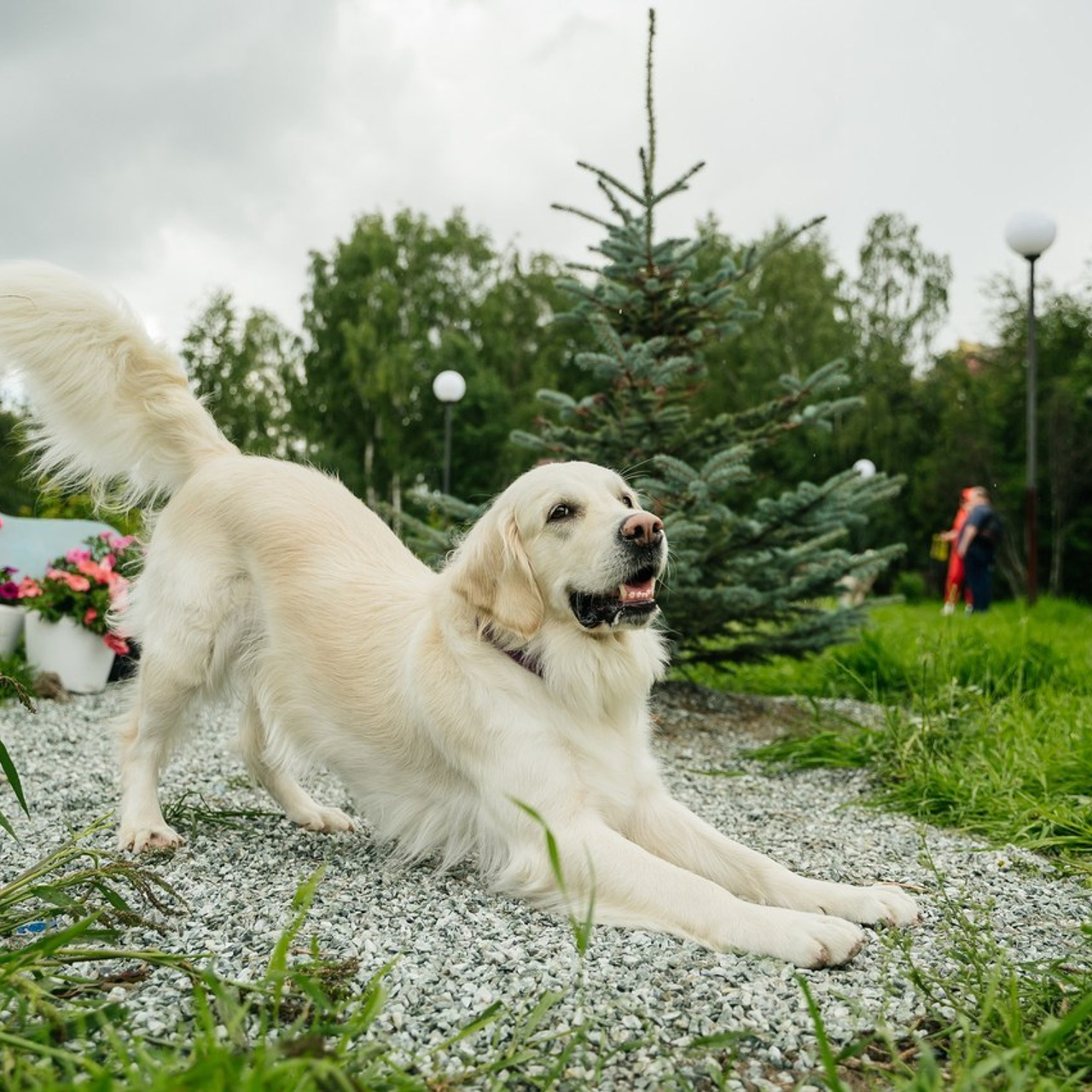 Отзывы наших клиентов