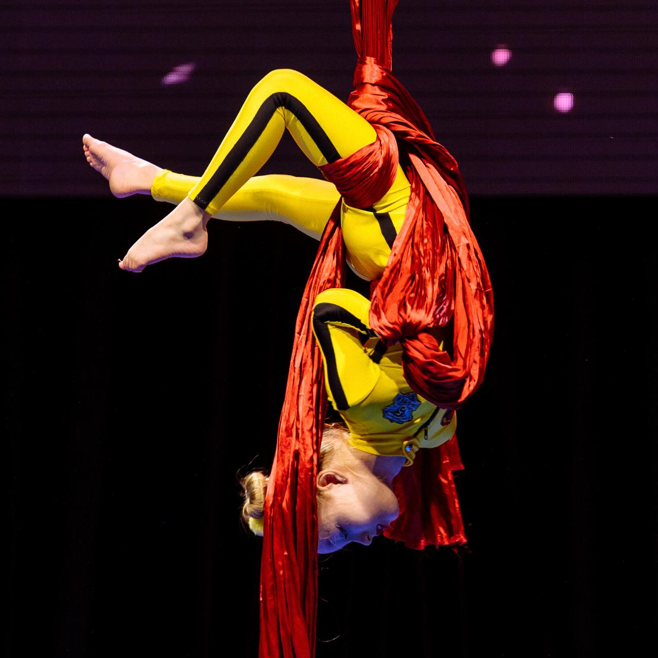 Феникс. Репортажный и свадебный фотограф в Курске Борис Захарчук