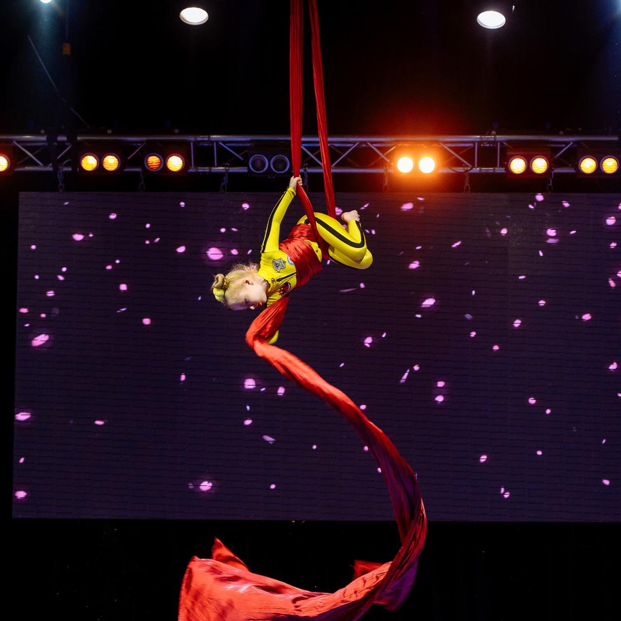 Феникс. Репортажный и свадебный фотограф в Курске Борис Захарчук