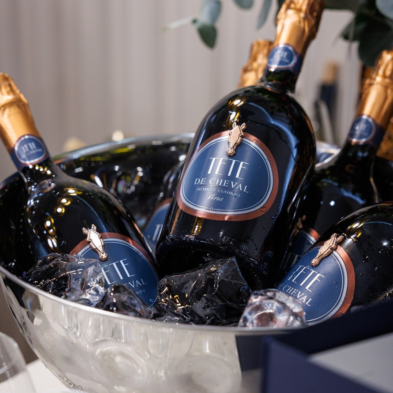 Отзывы. Репортажный и предметный Фотограф в Москве