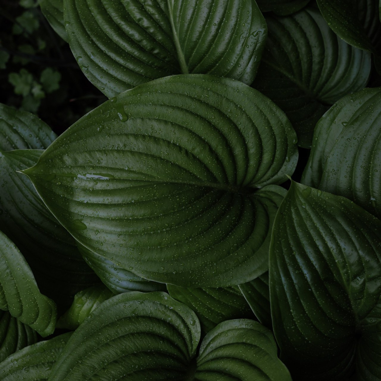 Отзывы. Портретный, семейный и свадебный фотограф в Ставрополе Ульяна Доценко