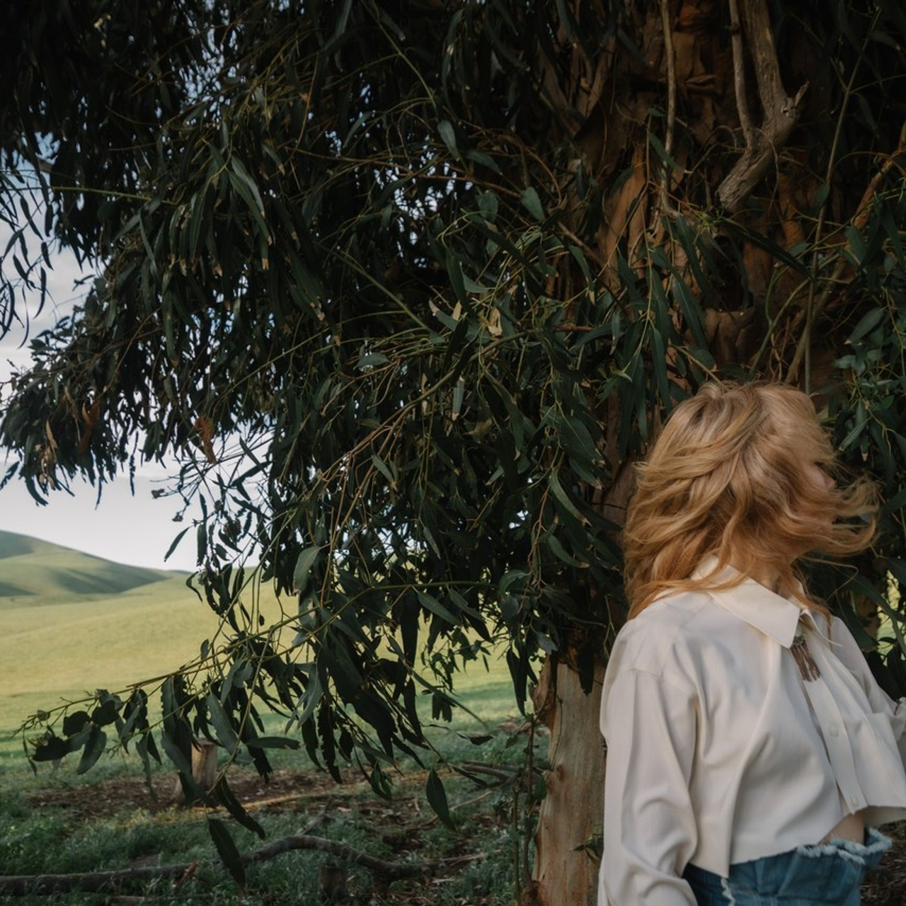 Reviews. Portraits and photojournalistic photograph