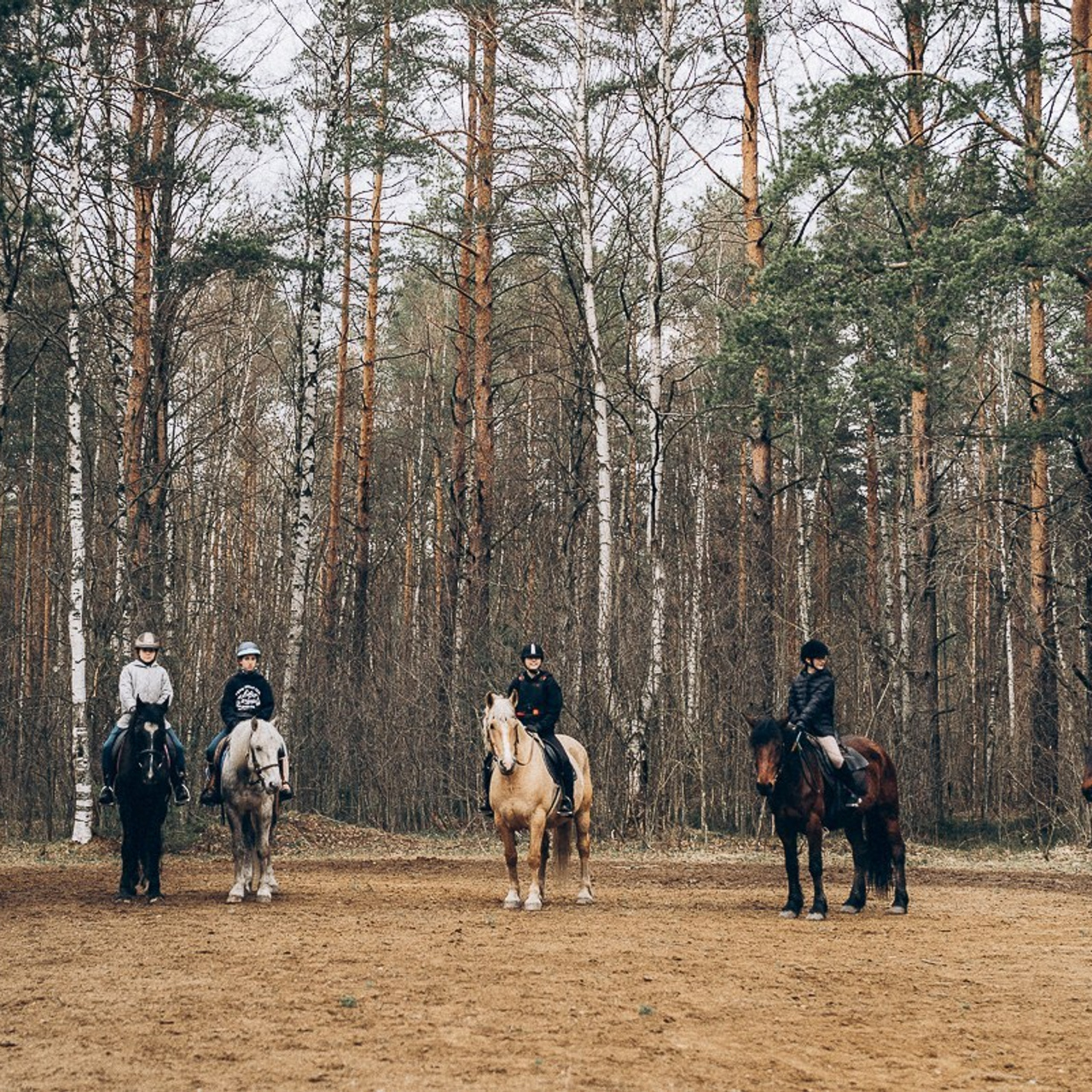 Отзывы. Главная