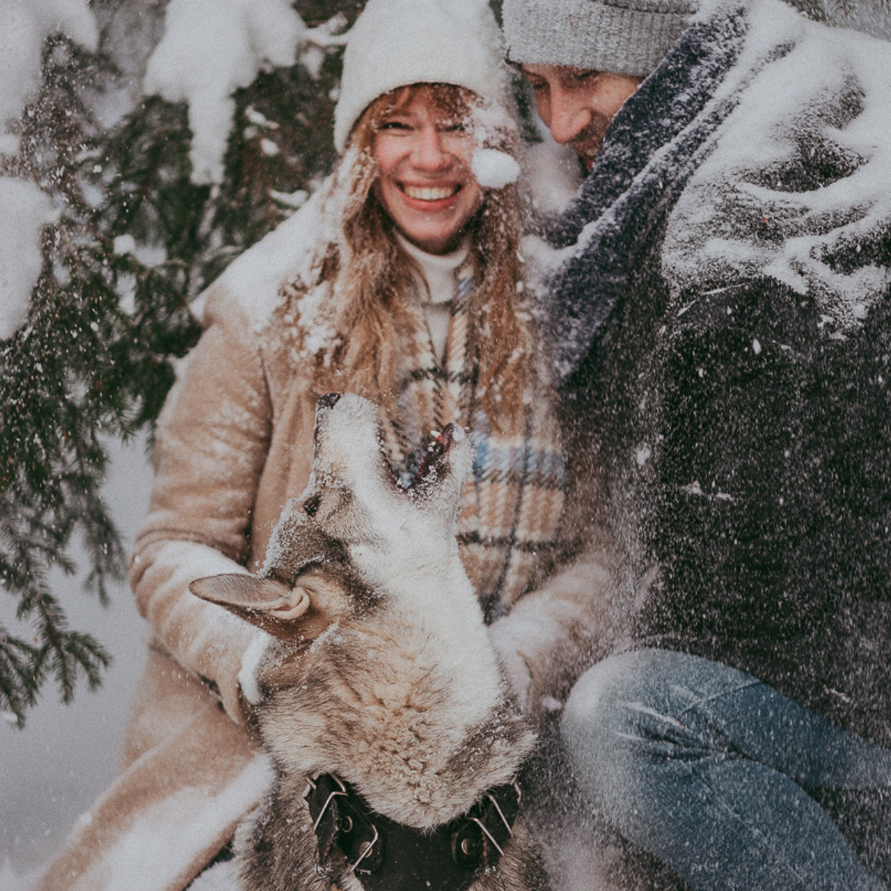 Отзывы. Главная