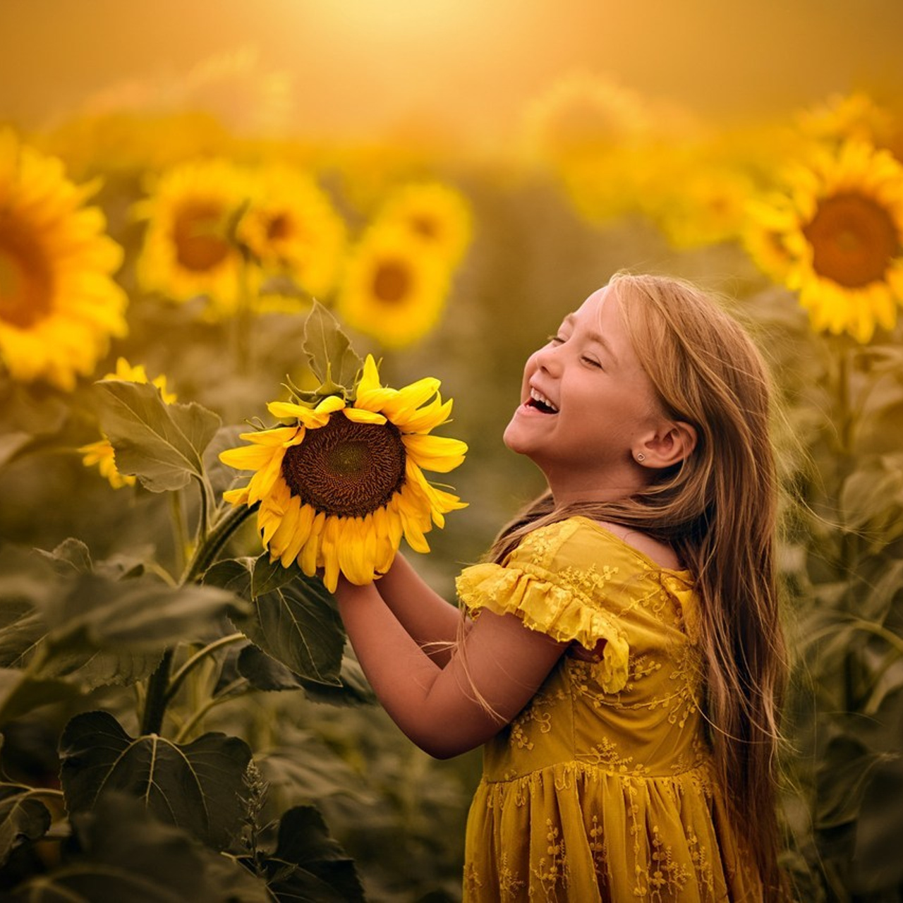 Feed back. Photographer in Provence Julia Lipiainen