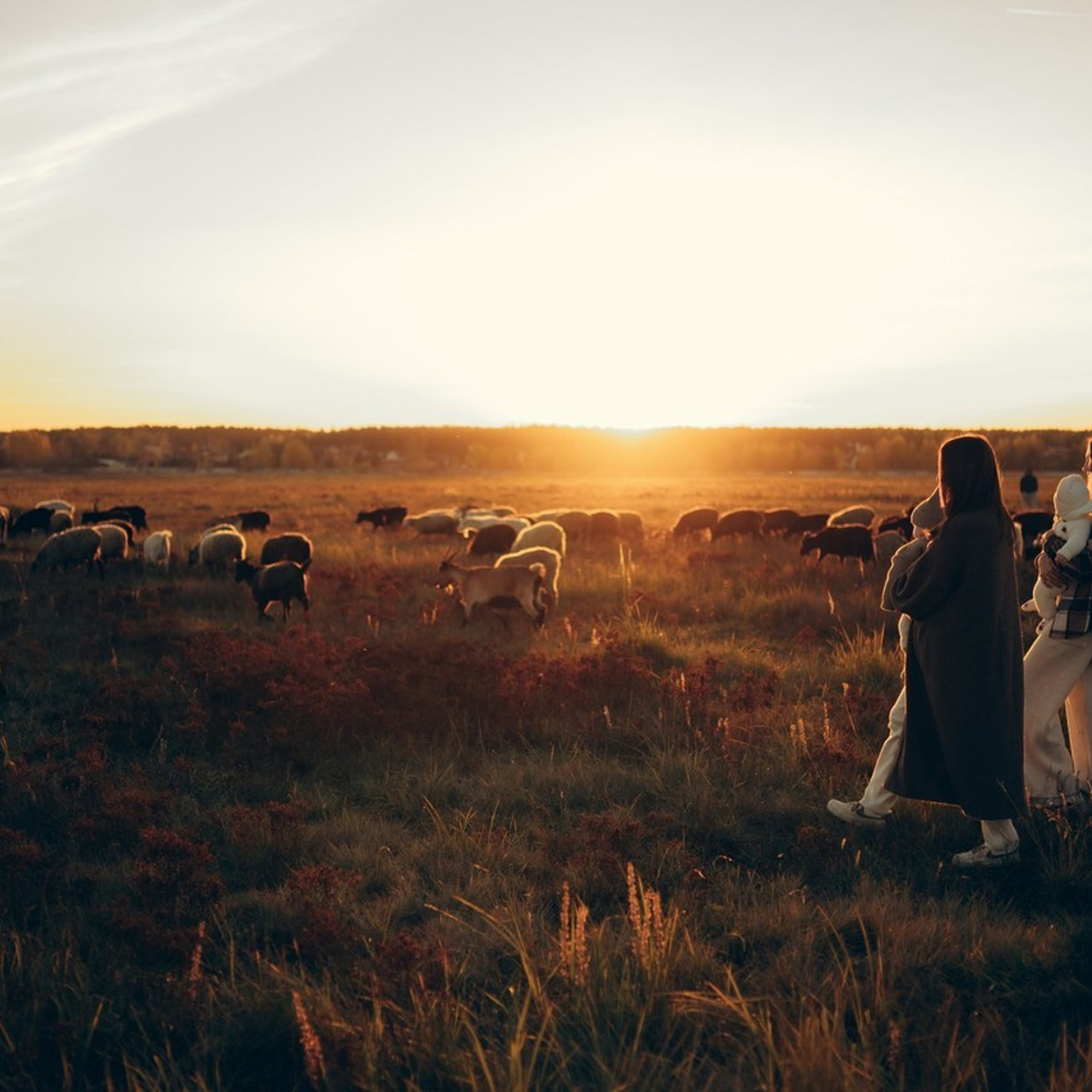 Отзывы. Семейный и детский фотограф в Щелково Алена Дробот