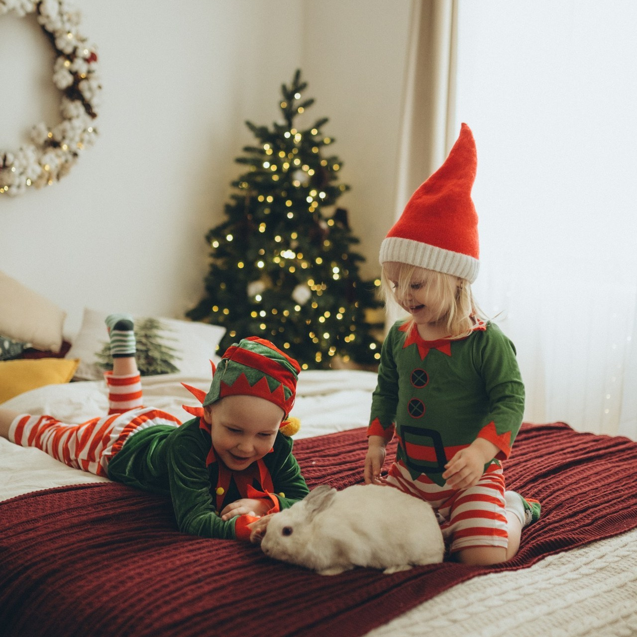 Отзывы. Семейный и детский фотограф в Щелково Алена Дробот