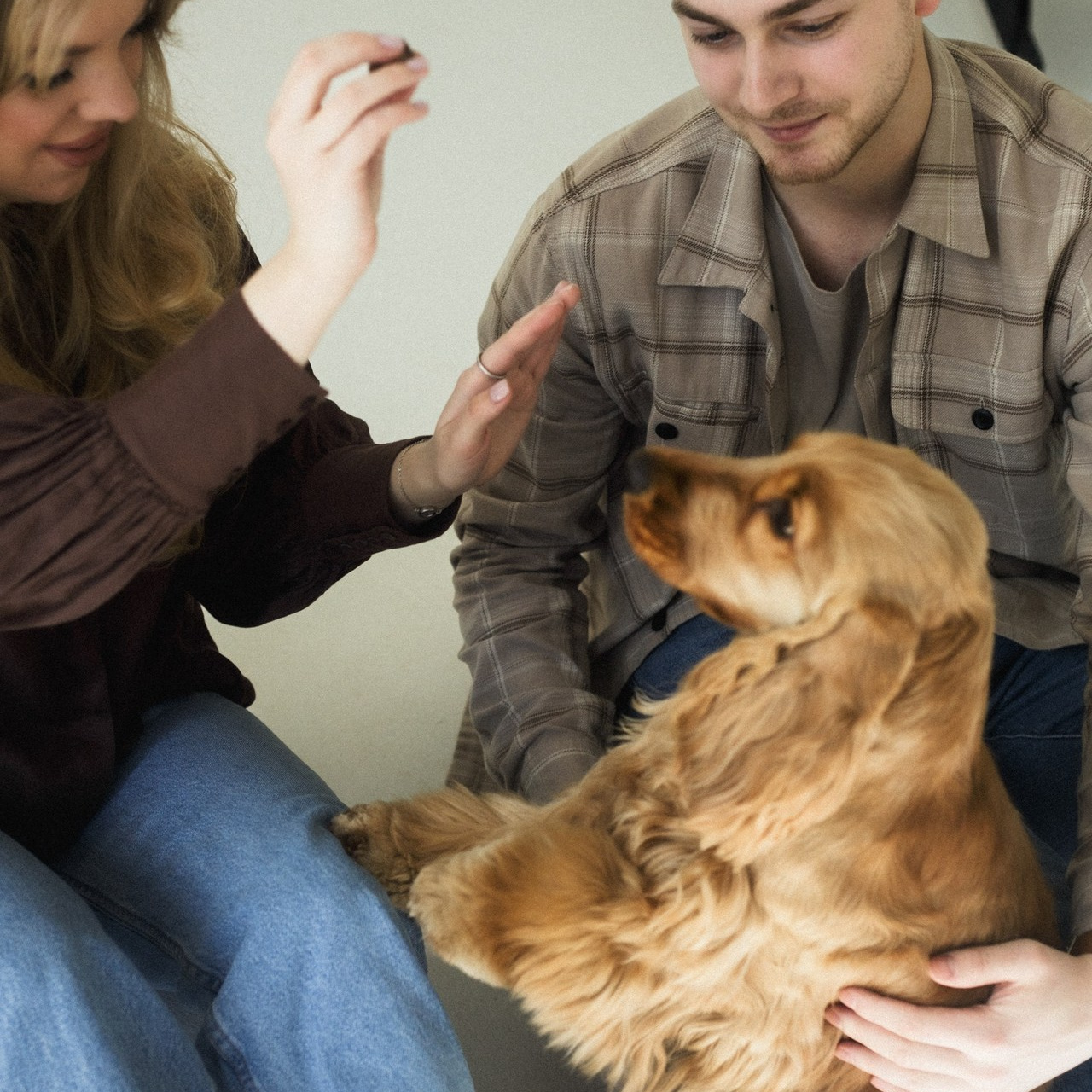 Отзывы. Фотограф г. Архангельск Бондар Лена