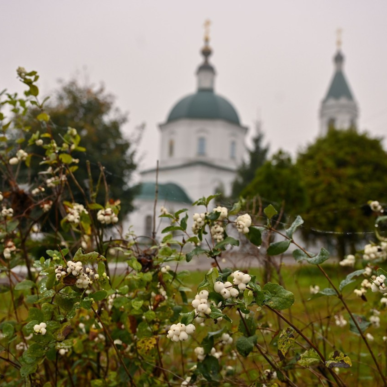 Отзывы. Семейный фотограф в г. Воскресенск Наталия Молева