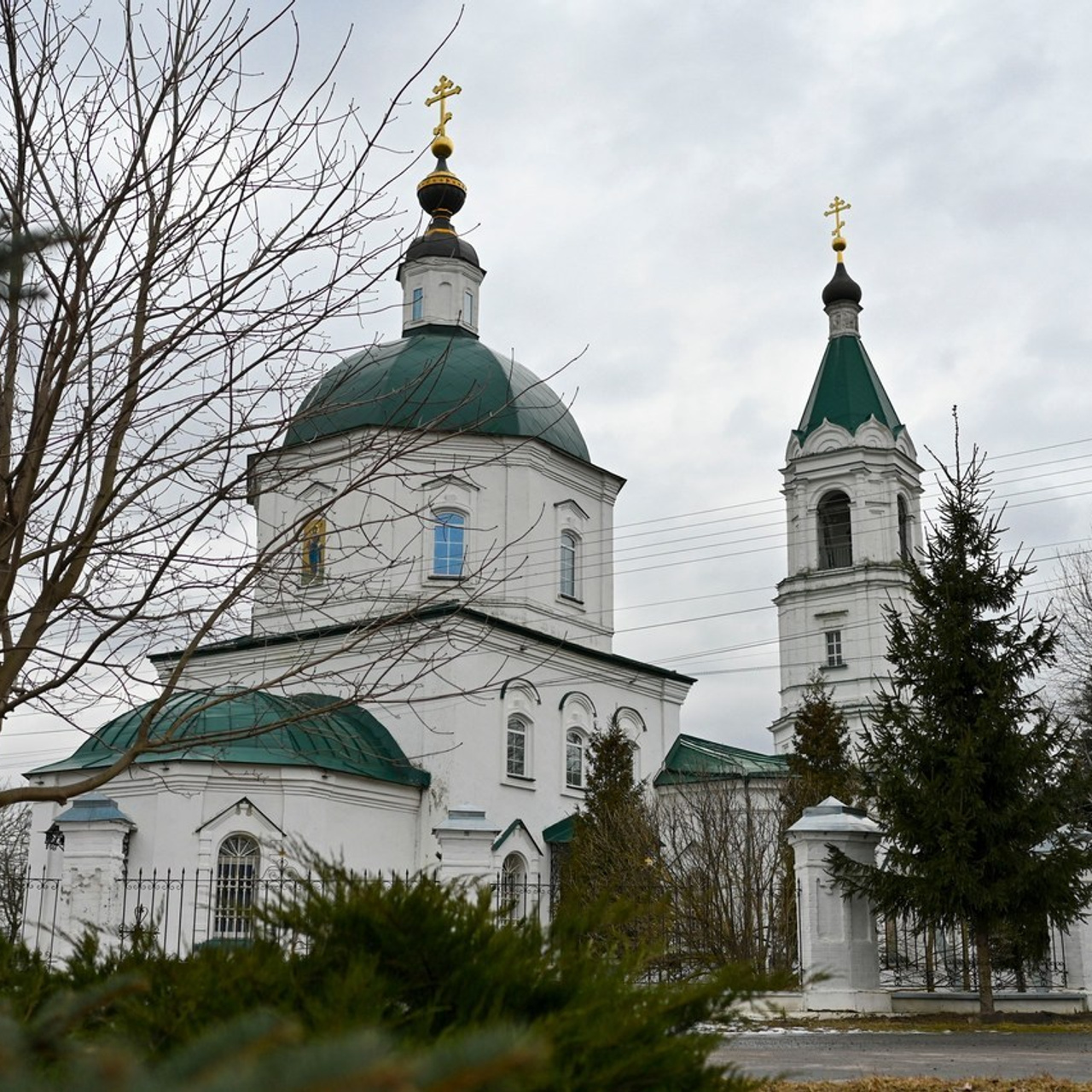 Отзывы. Семейный фотограф в г. Воскресенск Наталия Молева