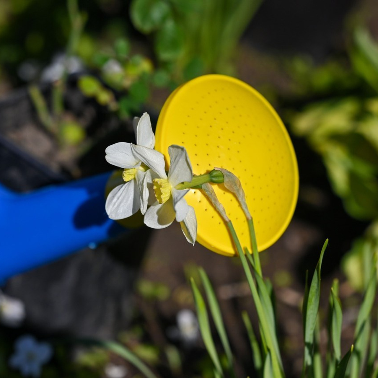 Отзывы. Семейный фотограф в г. Воскресенск Наталия Молева