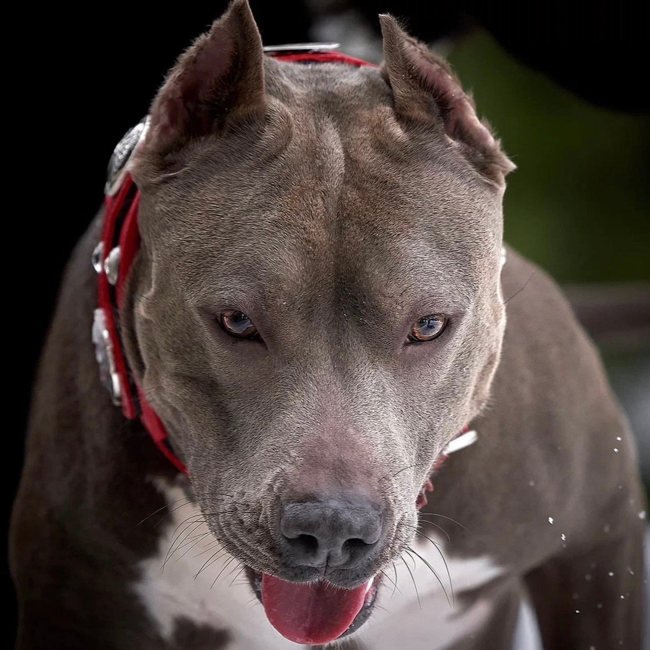 Отзывы заказчиков NATRIEL