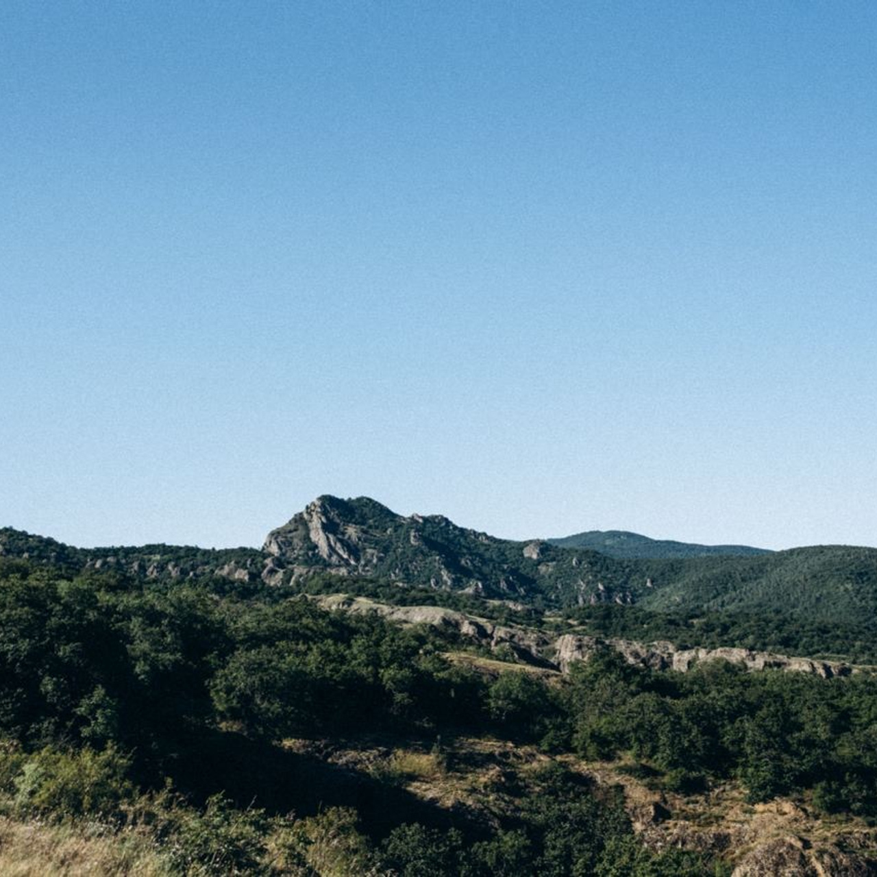 Биртвиси, Грузия 🇬🇪 «Honey Trip»