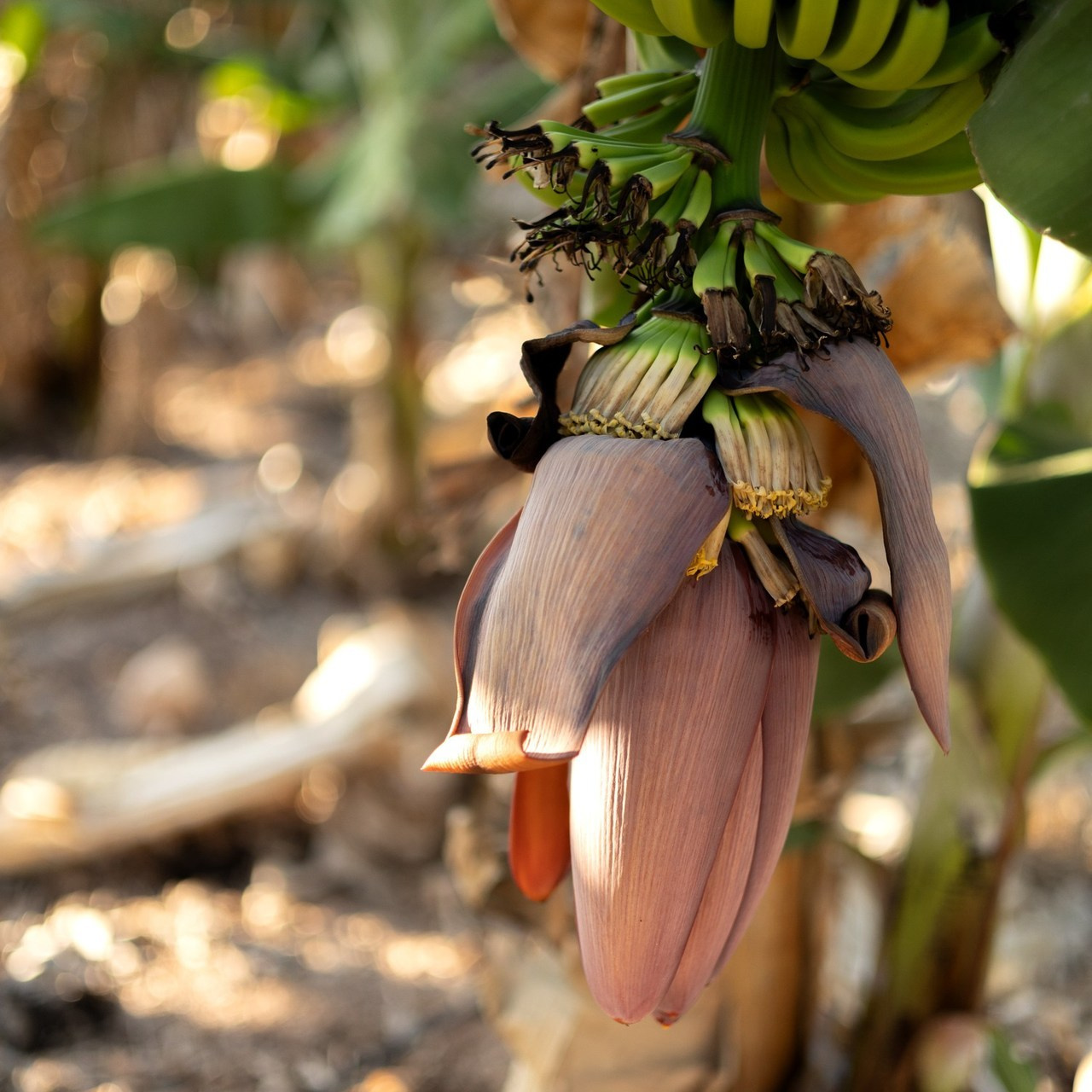 Отзывы. ЖЕНСКИЙ ФОТОГРАФ МОСКВА СВЕТЛАНА КУРД