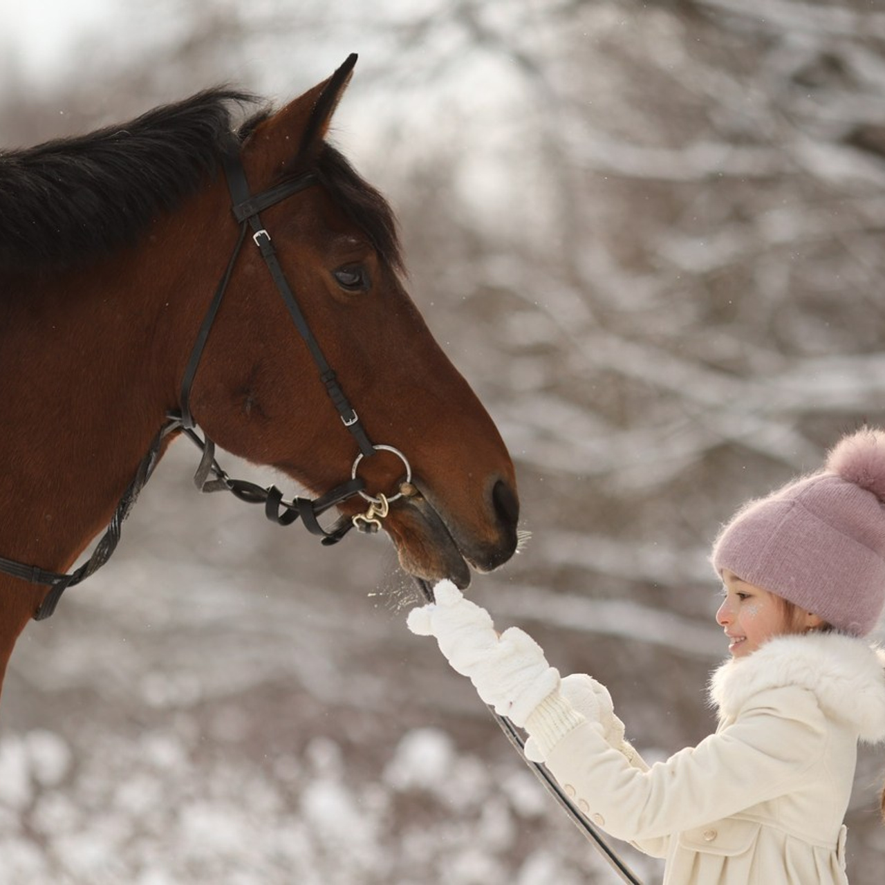Отзывы. Детский и семейный фотограф с животными в Москве Гурьева Надежда