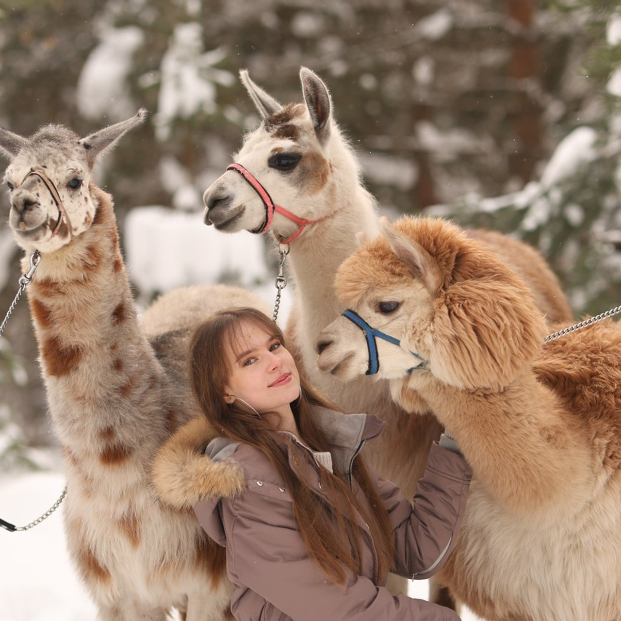 Отзывы. Детский и семейный фотограф с животными в Москве Гурьева Надежда