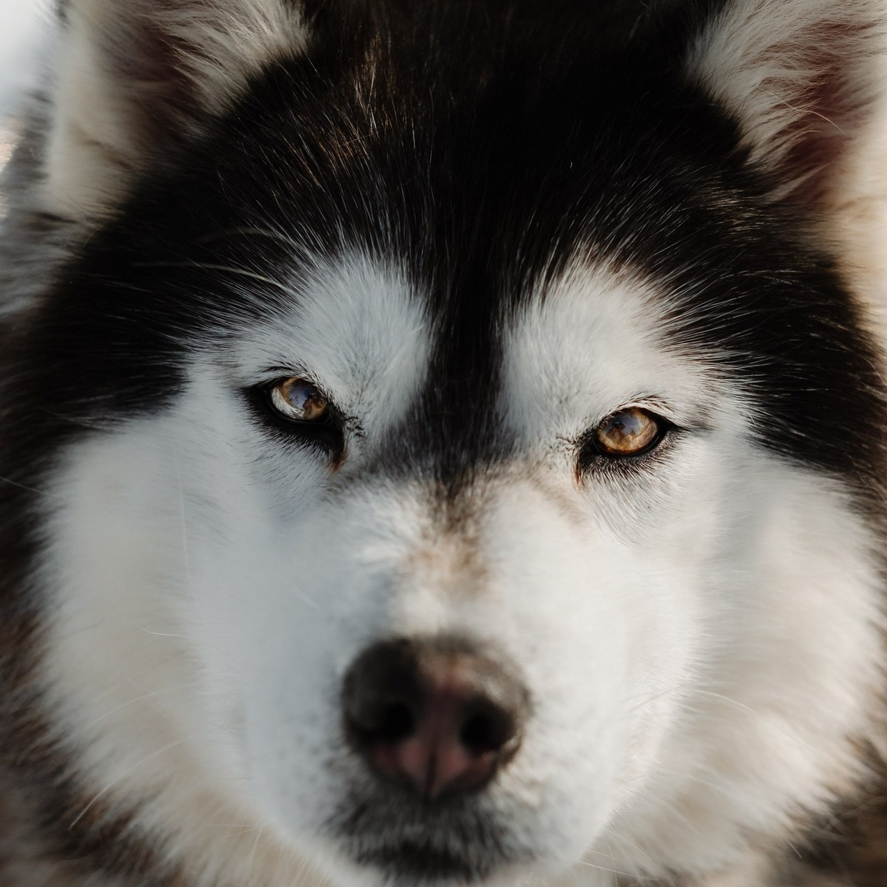 Отзывы. Фотограф Дерюга Ольга