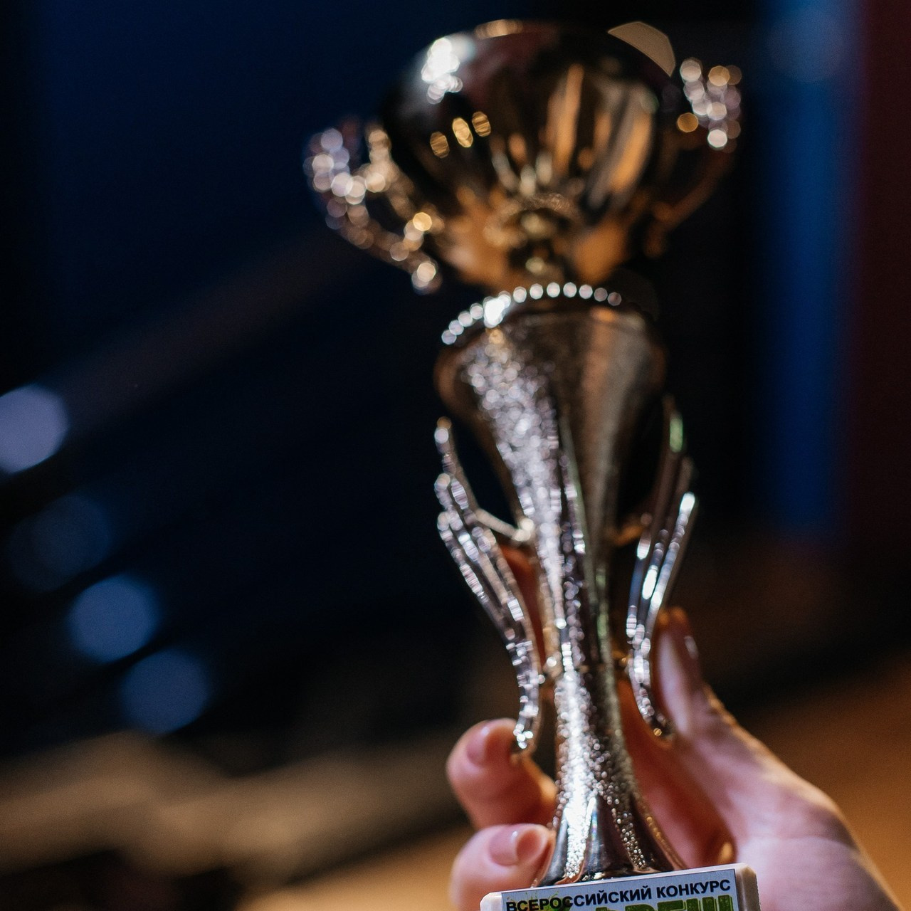 Feedback. Алёна Киселёва | фотограф