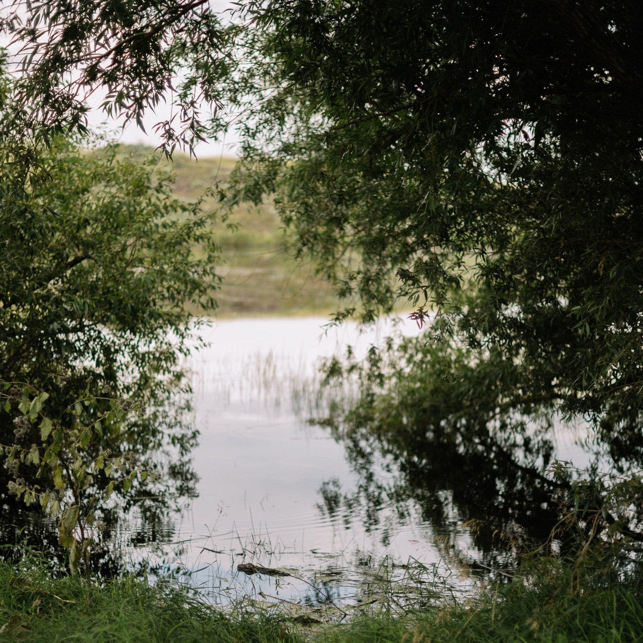 Отзывы. Свадебный фотограф в Сибае Елена Самарина