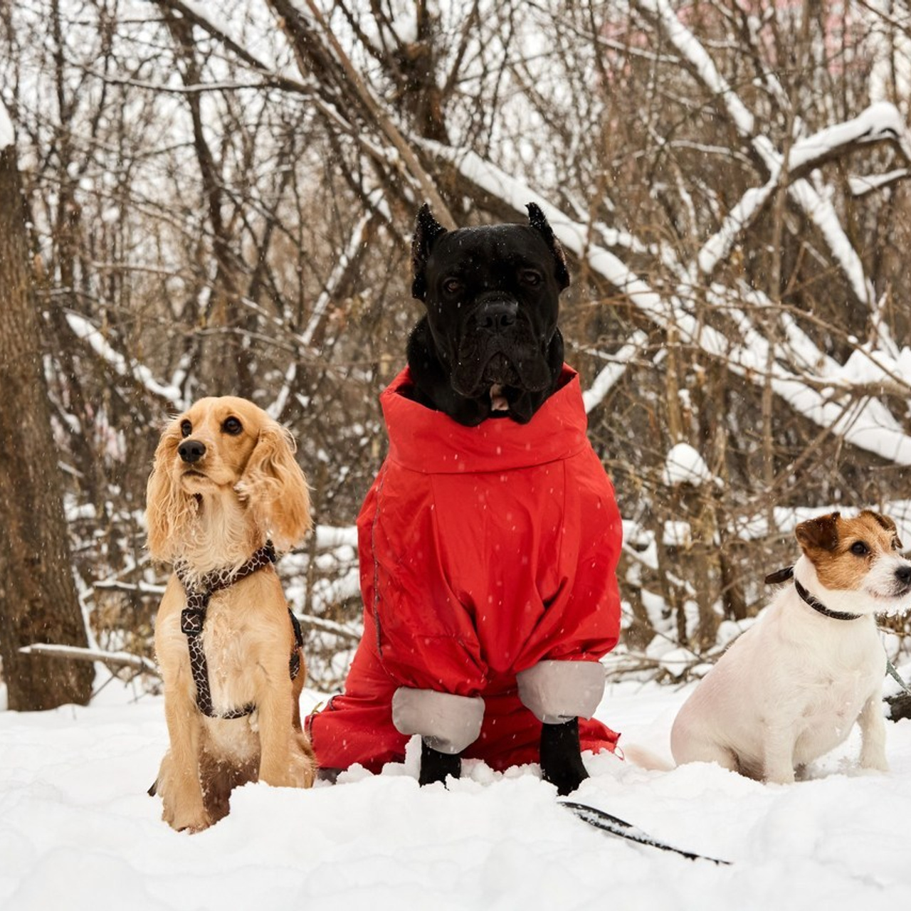 Отзывы. Buyvolenko Andrey