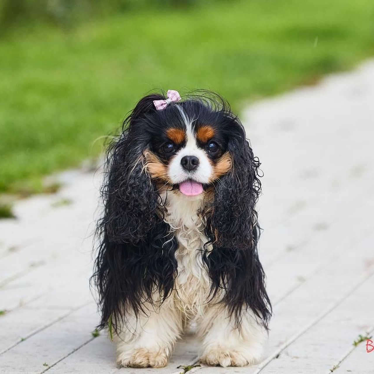 Отзывы. Buyvolenko Andrey