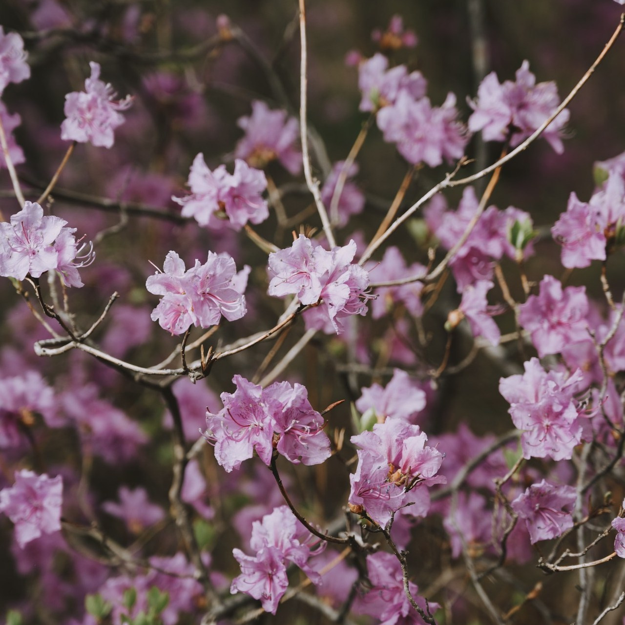 Отзывы. Портретный и семейный фотограф Владивосток Андрей Липатов