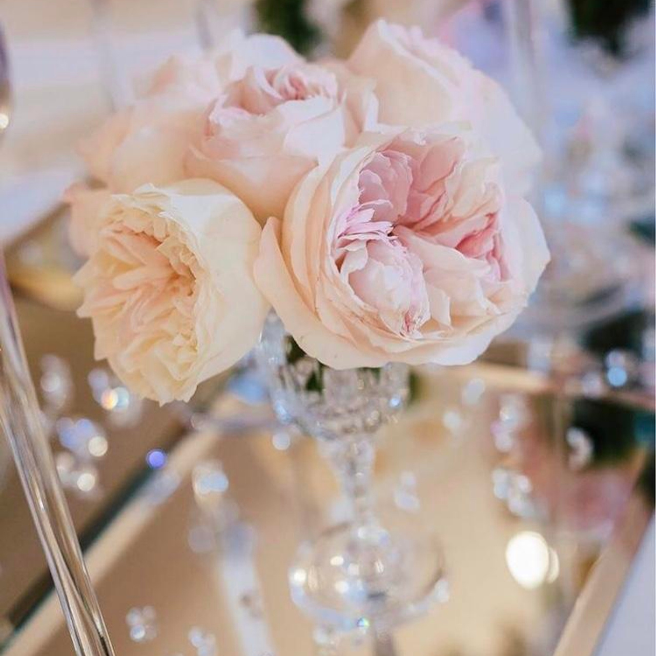 СВАДЕБНЫЙ (Элеанора & Виктор)