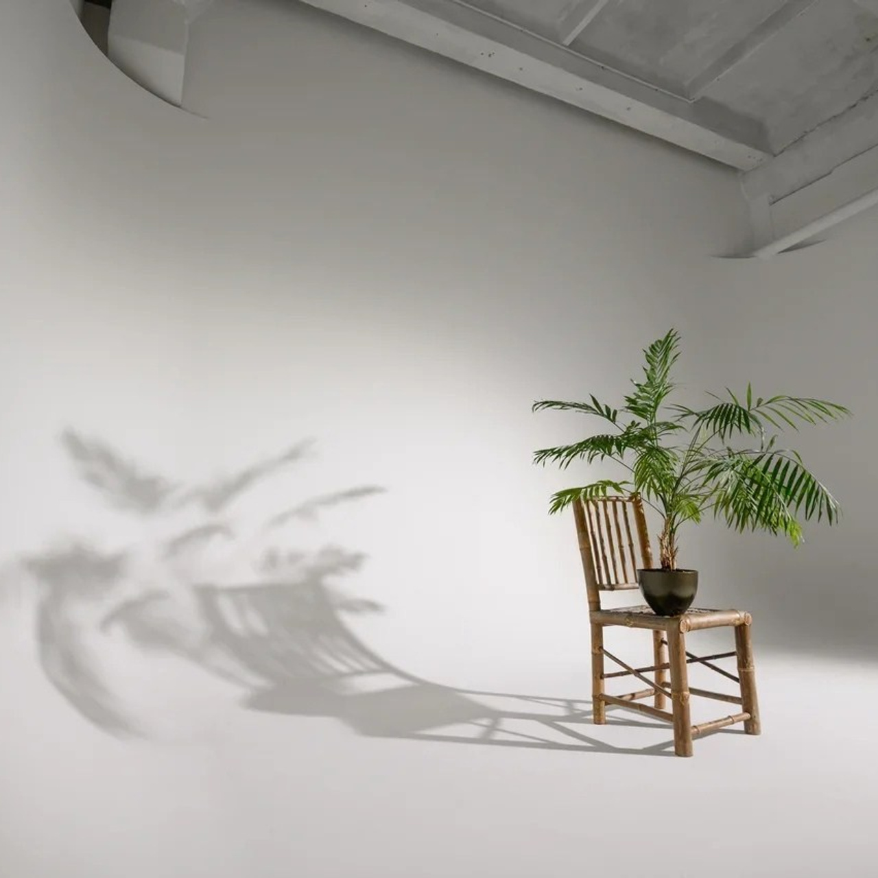 Все фотостудии Липецка. Свадебный и семейный фотограф Виолетта в Липецке