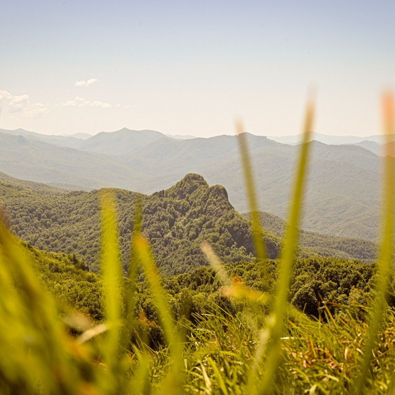Отзывы. Женский фотограф в Екатеринбурге |София Бывальцева