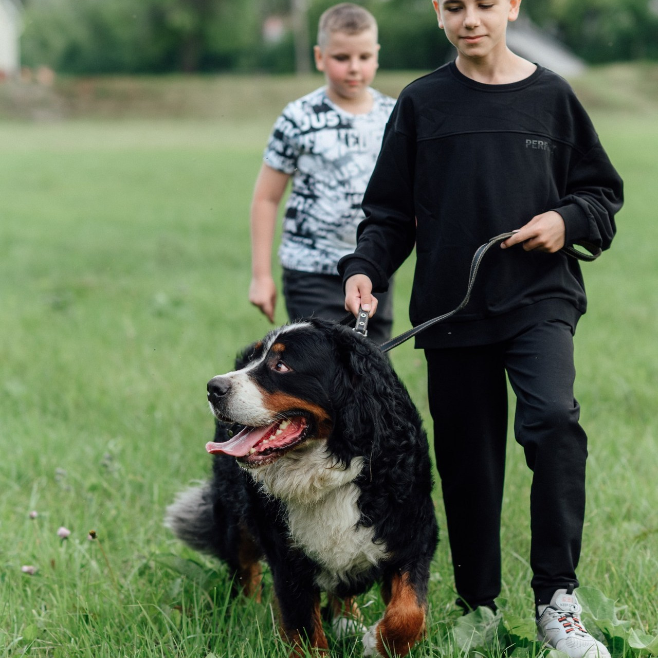 Отзывы. Семейный и свадебный фотограф г. Ирбит