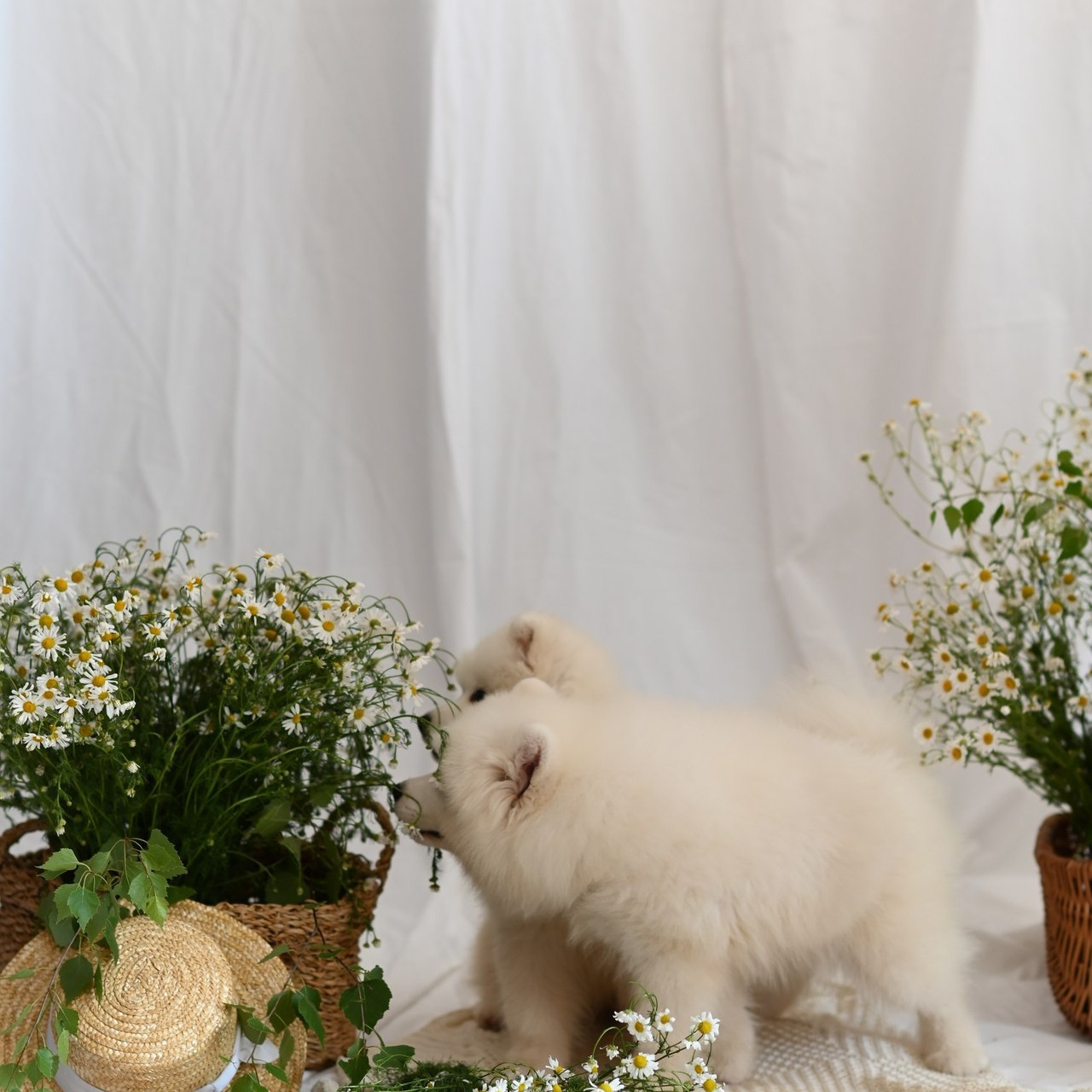 Отзывы. Семейный и свадебный фотограф г. Ирбит