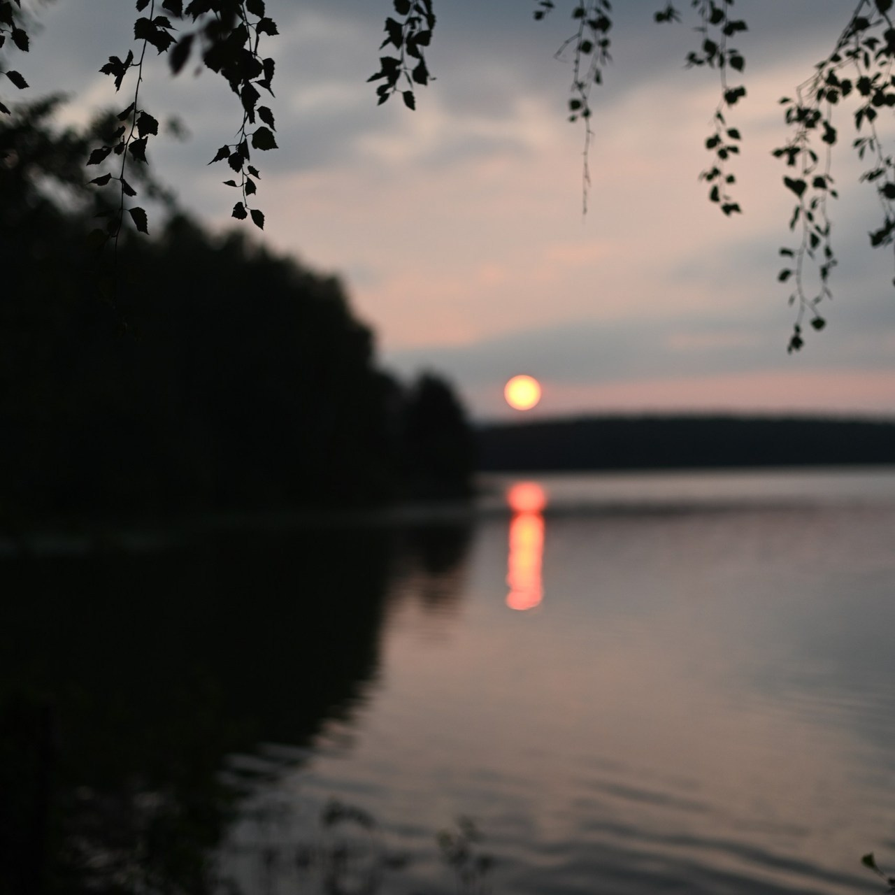 Отзывы. Семейный и свадебный фотограф г. Ирбит