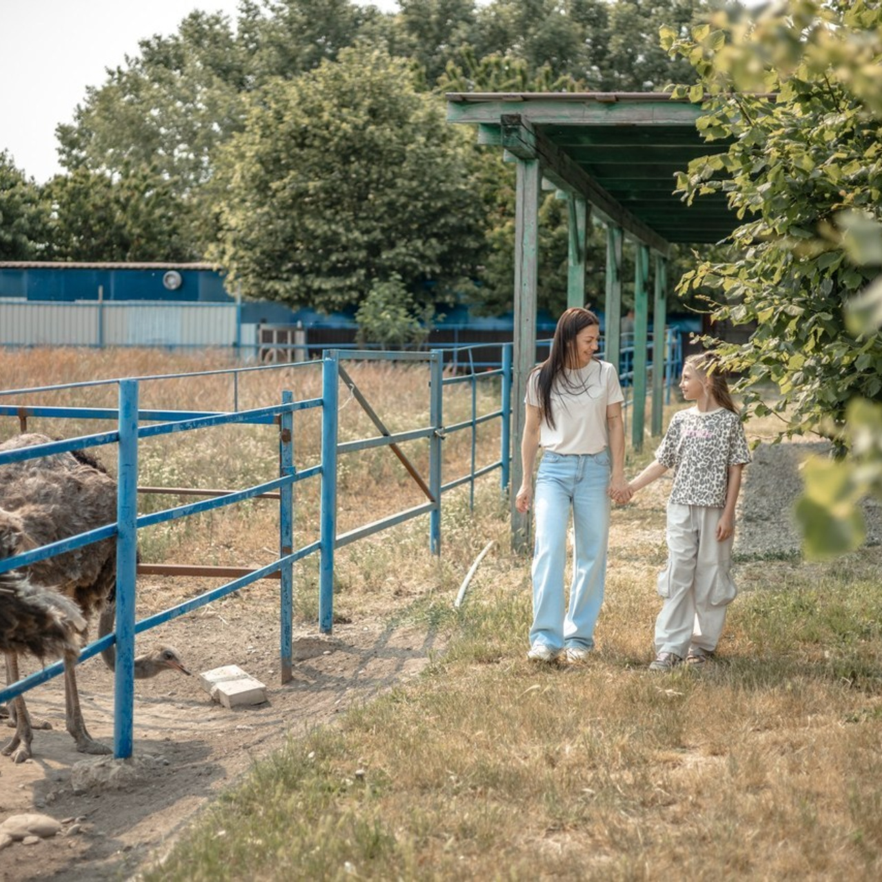 Отзывы о фотографе Александра Долбикова. Художественный фотограф Анапа Александра Долбикова