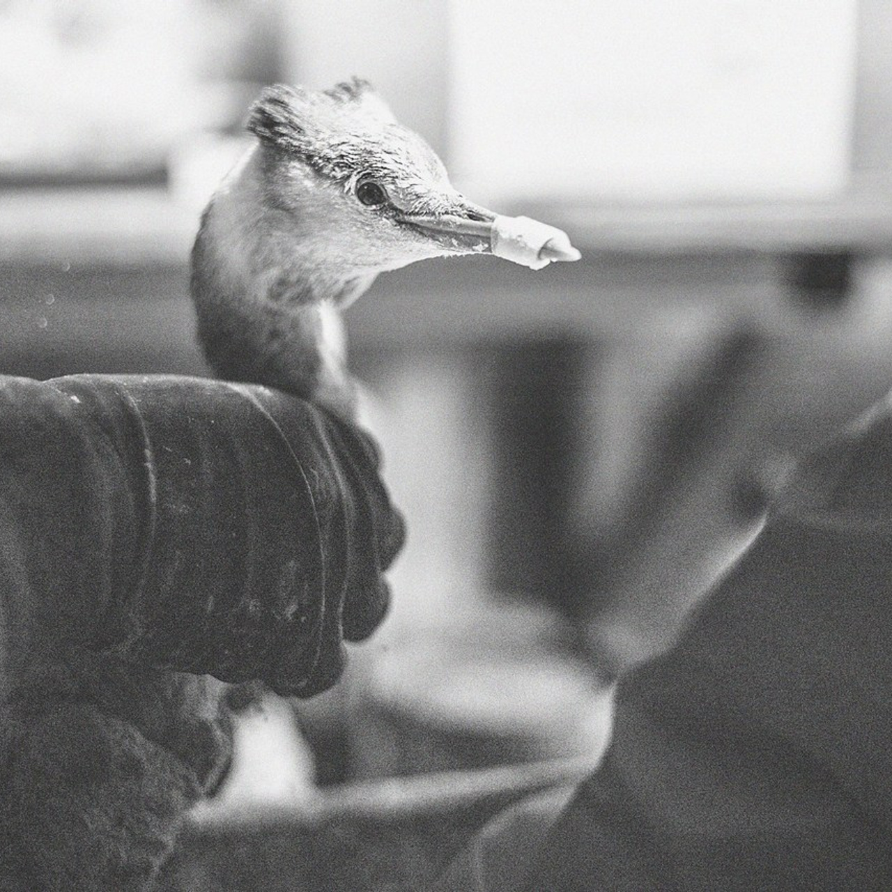 Отзывы о фотографе Александра Долбикова. Художественный фотограф Анапа Александра Долбикова