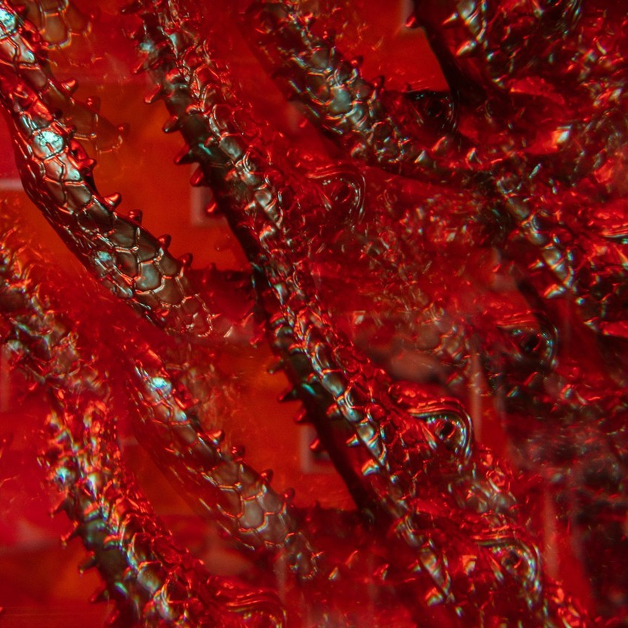 Отзывы. Студийный и свадебный фотограф В городе Екатеринбург Ирина Мальта