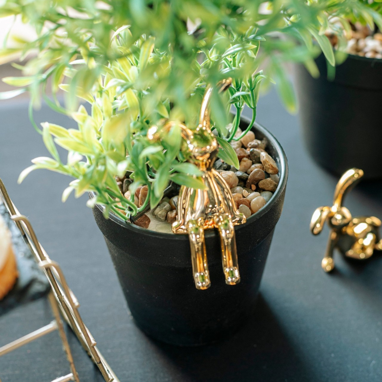 Отзывы. Студийный и свадебный фотограф В городе Екатеринбург Ирина Мальта