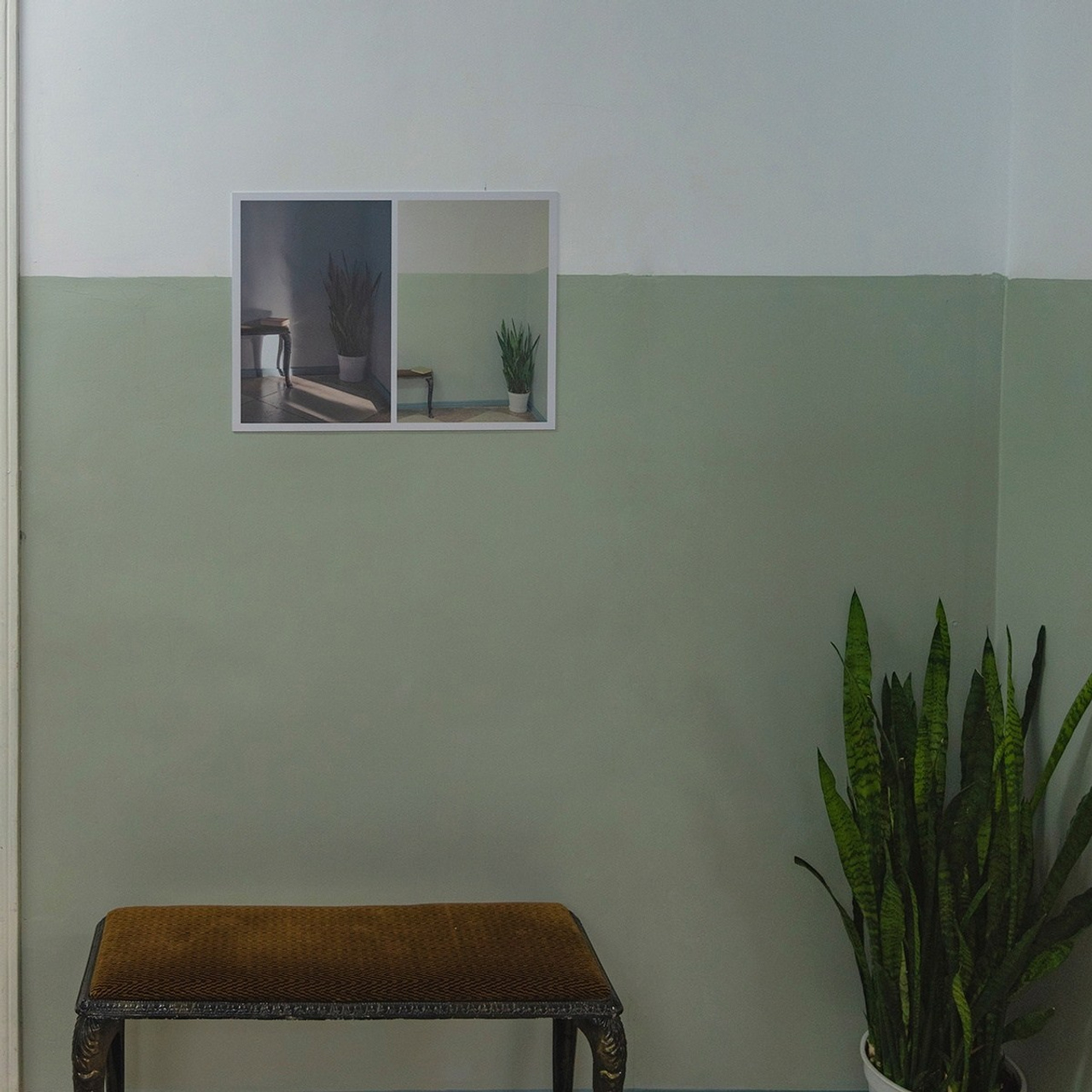 Как посмотреть. Арт фотограф Александр Лефлер