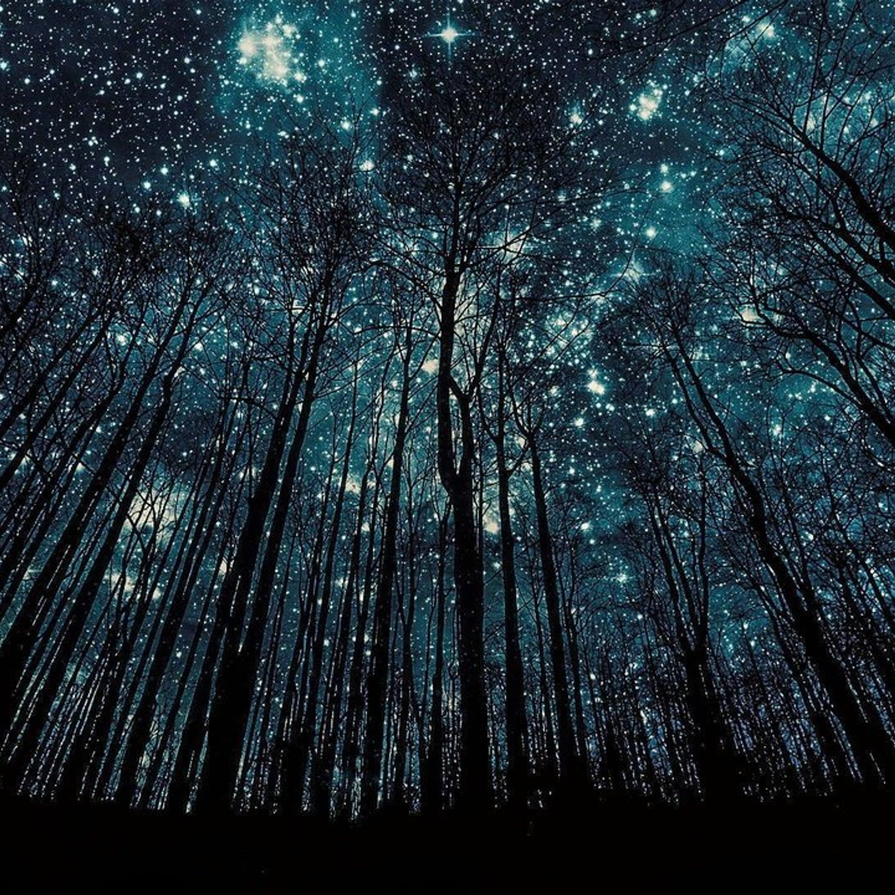 Отзывы. ShowLab