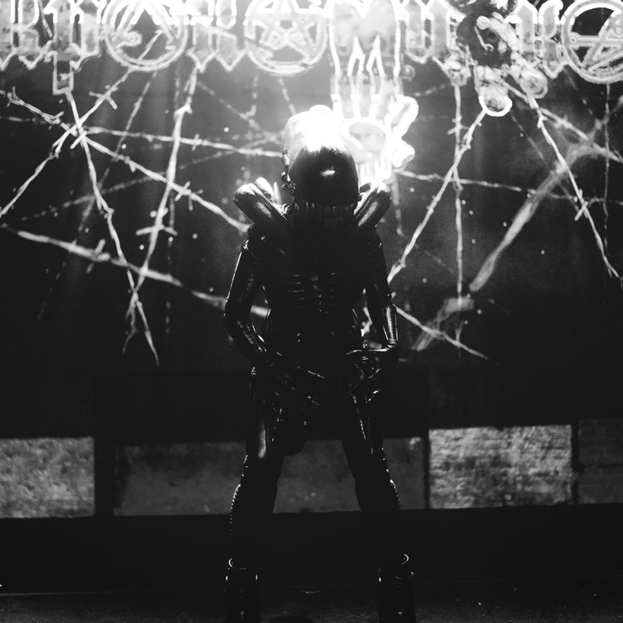 Отзывы. Репортажный фотограф в Санкт-Петербурге Максим Варбулайнен