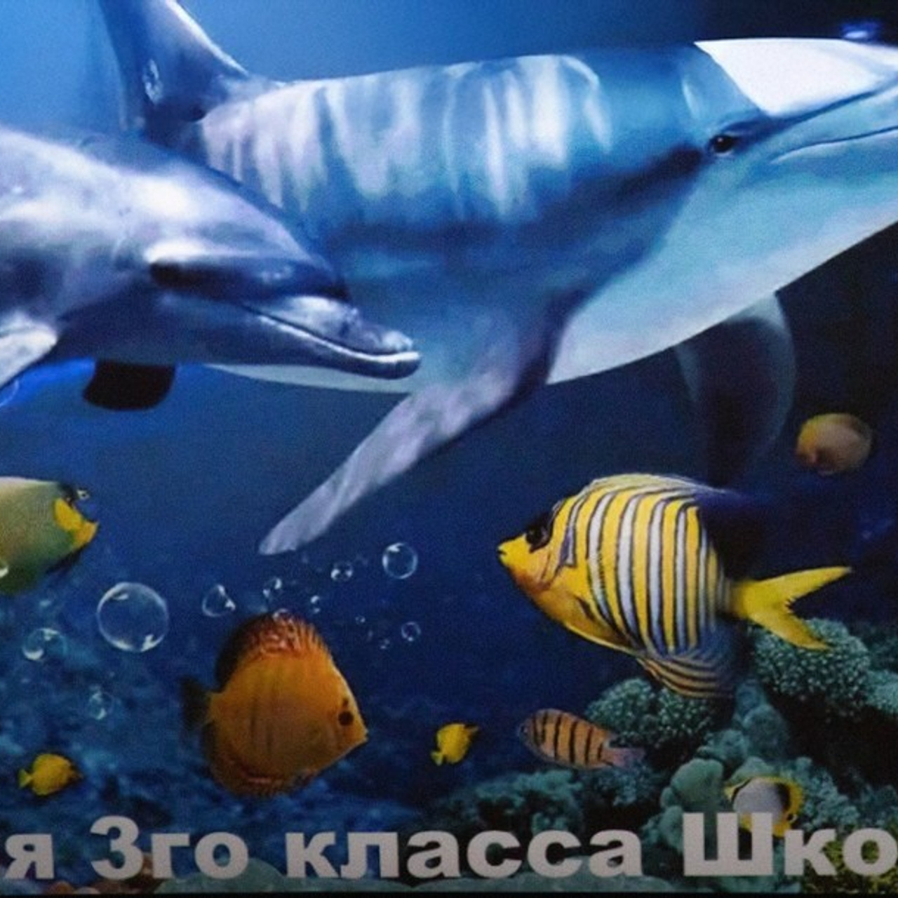 Отзывы клиентов. Индивидуальный фотограф в Сергиевом Посаде Наталья Румянцева