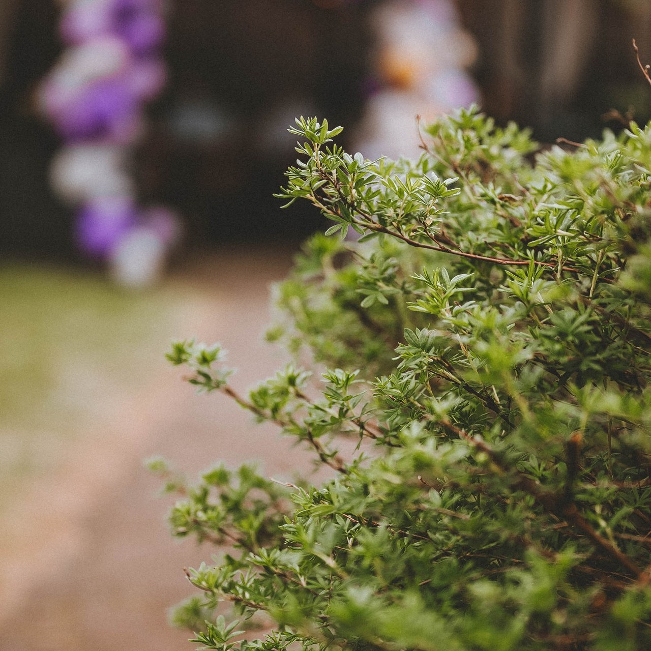 Отзывы. Фотограф Кристина Пархоменко