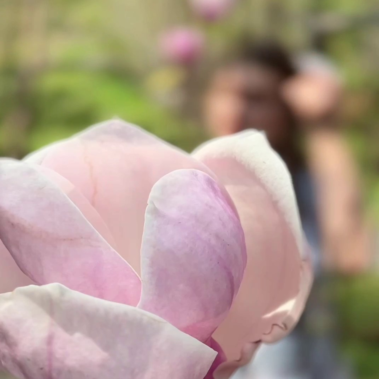 Отзывы. Арт-фотограф. Фотосъемка, авторские принты для интерьера