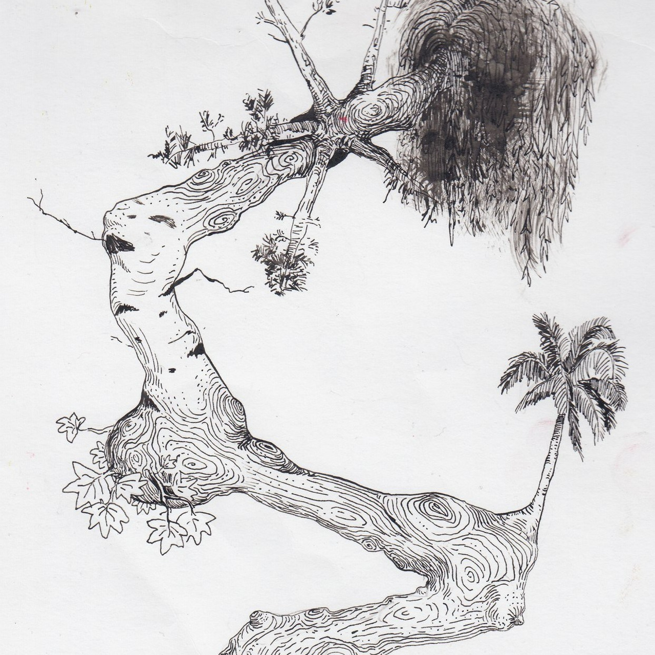 Graphics and paintings. Ksenia Markelova, multidisciplinary artist, Yekaterinburg