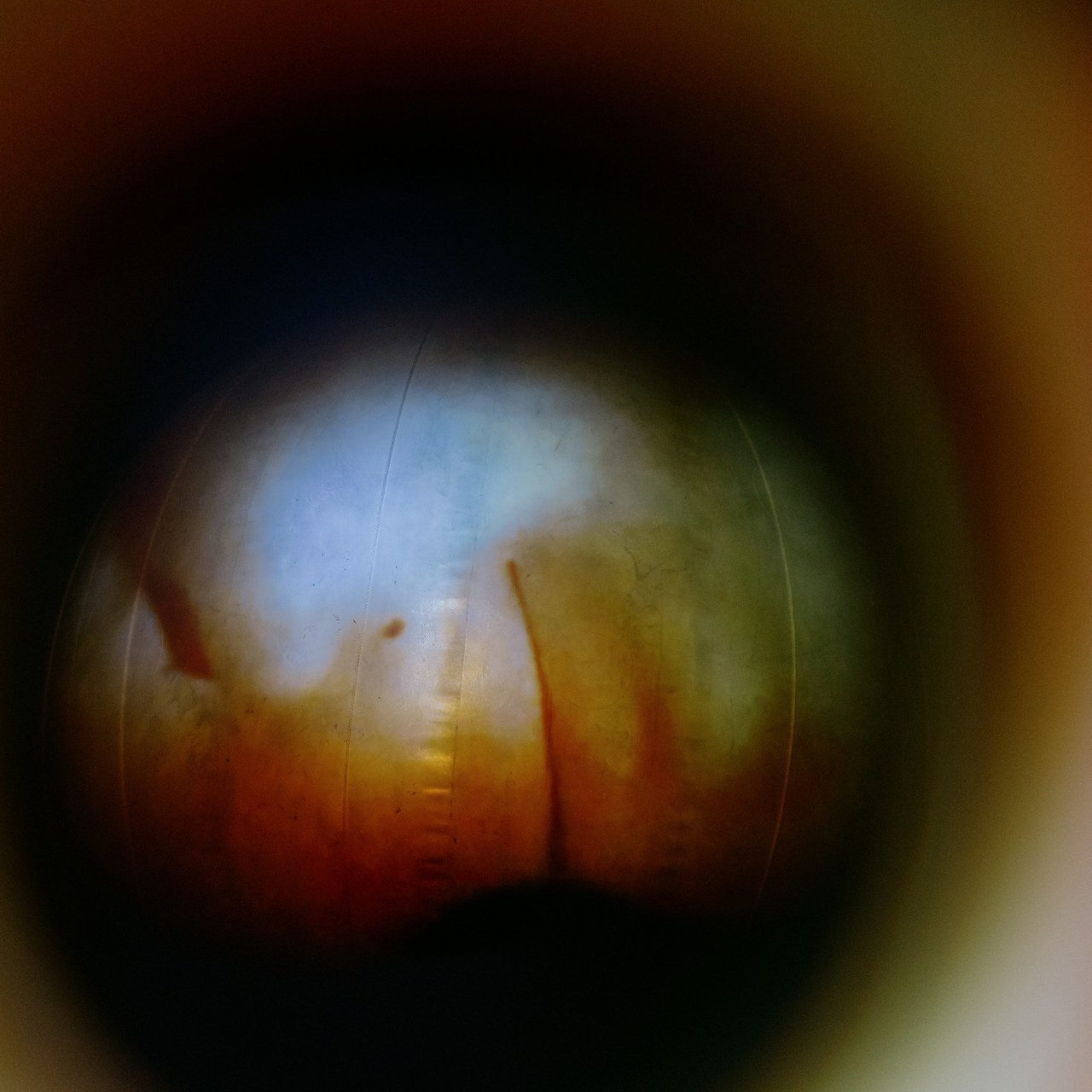 Отзывы. Polinanazar//Полина Назарова, фотохудожник