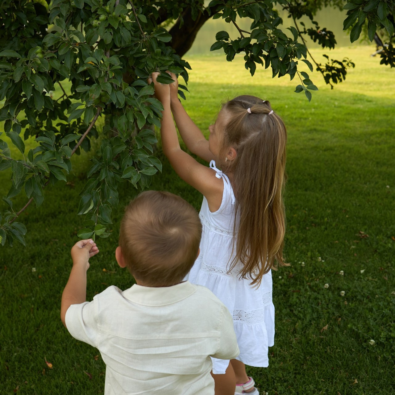 Отзывы. Фотограф в Анапе Инесса Басова