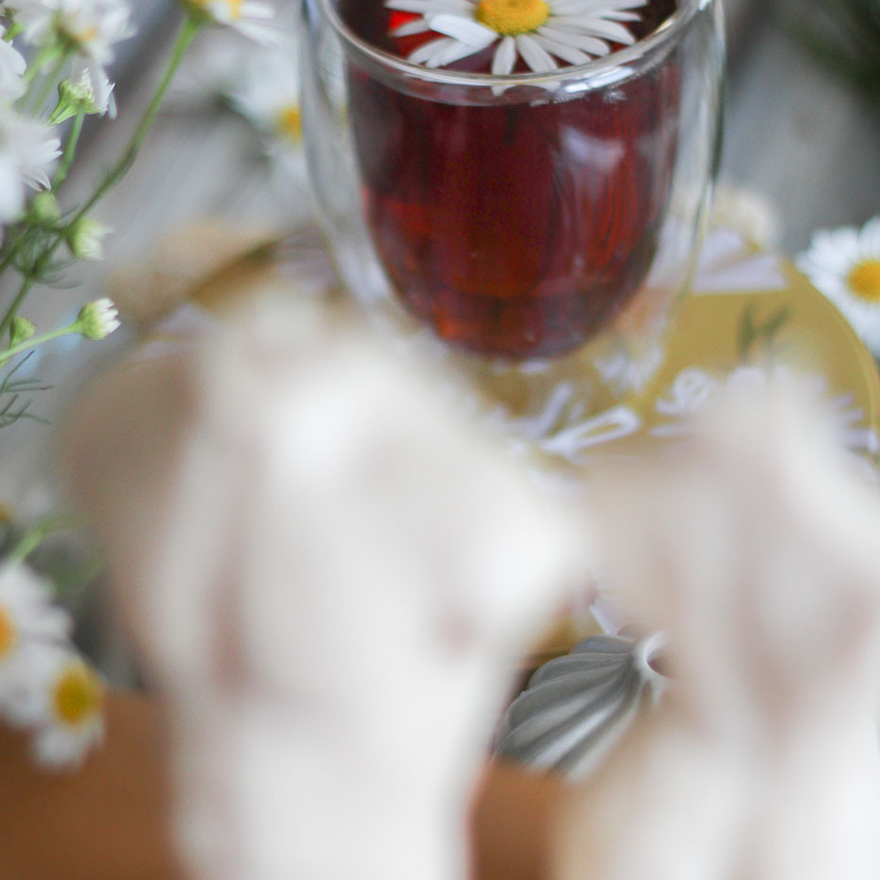 Флэтлей. Фотограф в Тюмени Вера Ильинова