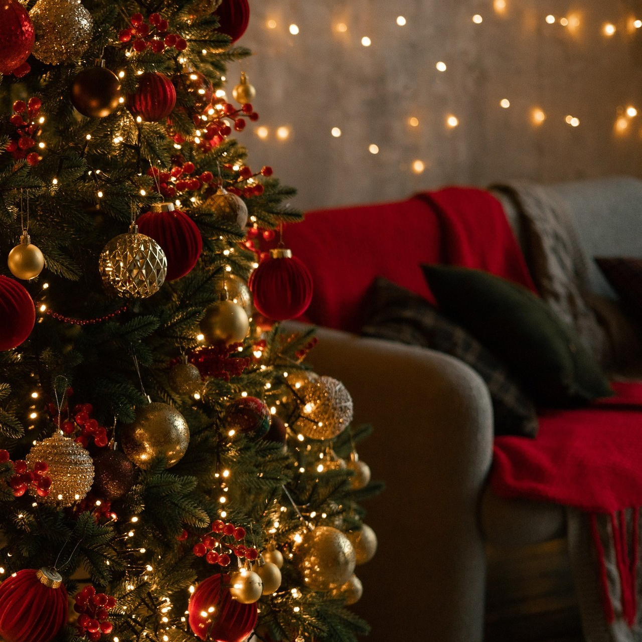 Отзывы. Фотограф в Тюмени Вера Ильинова