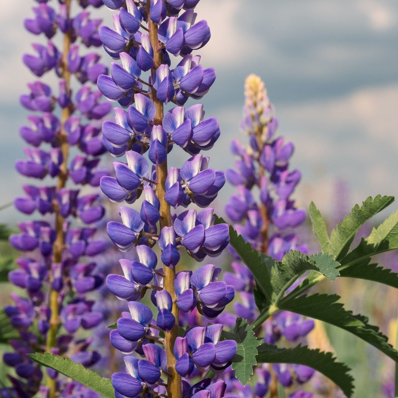 Отзывы. Портретный фотограф в Москве Артем Венглинский