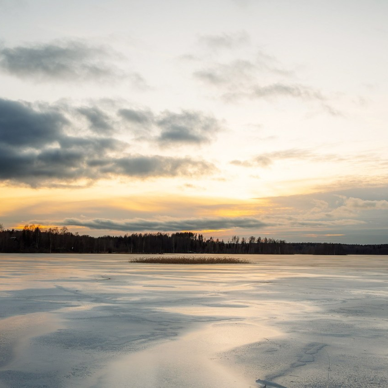 Отзывы. Главная